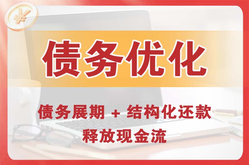 远安债务优化