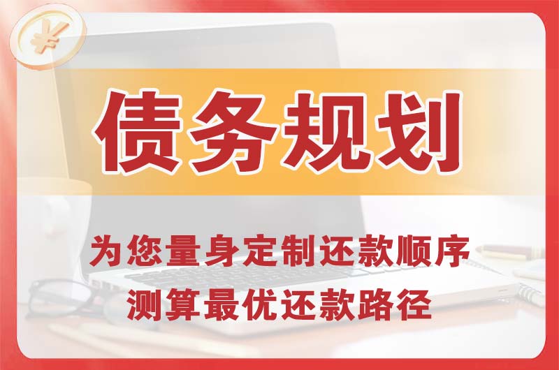 远安债务规划